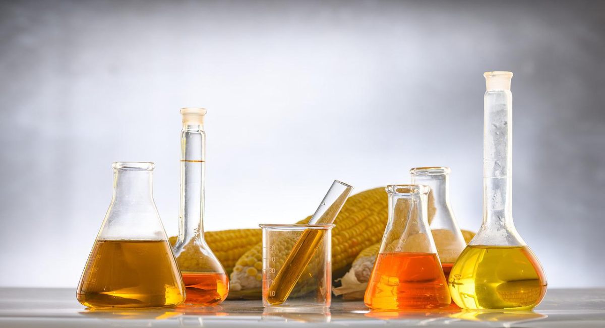 Dangers of High Fructose Corn Syrup